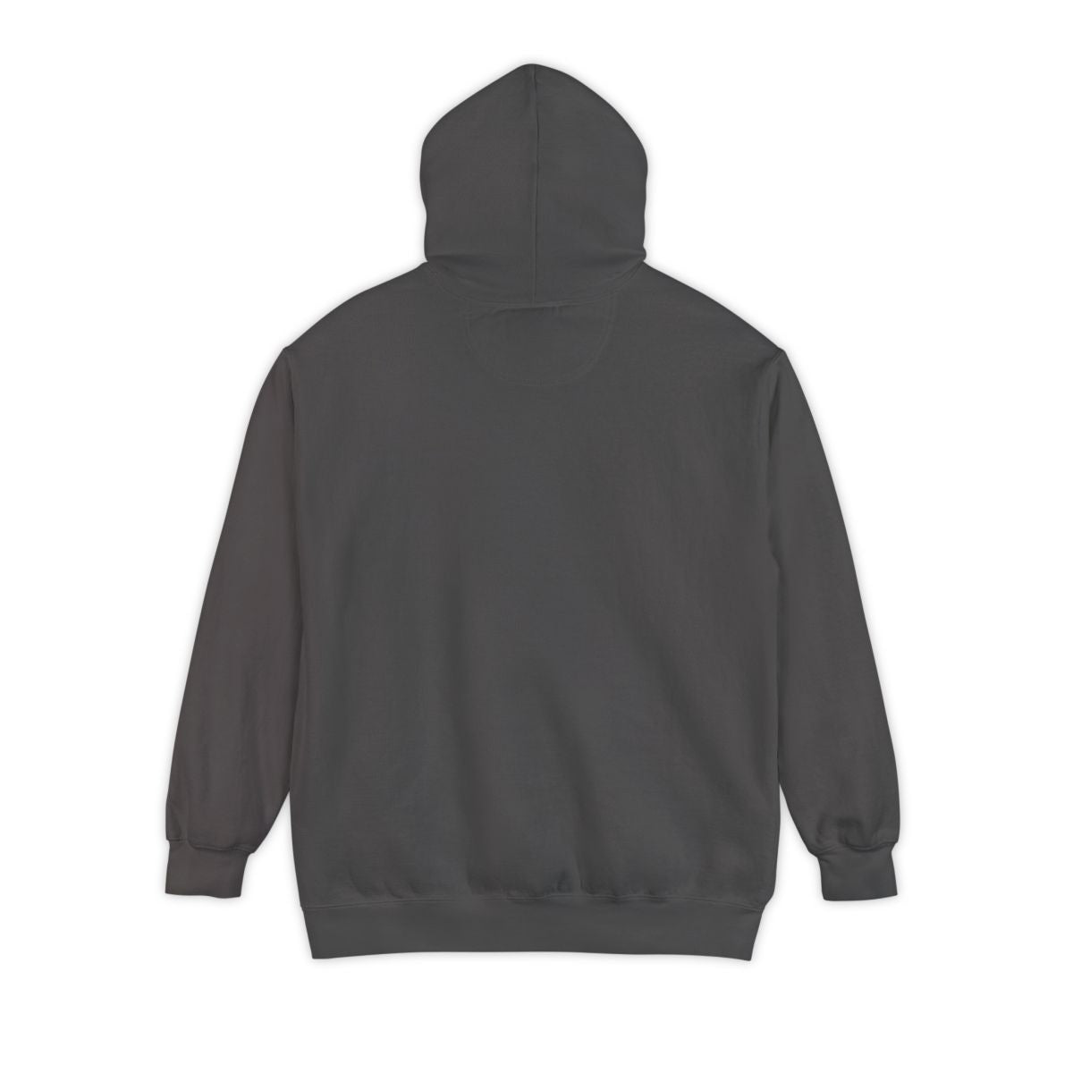 Storrs South Subway Hoodie