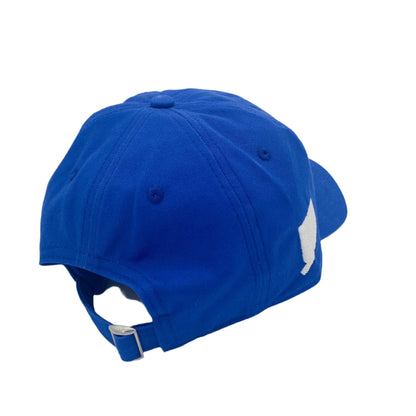 Premium 860 Dad Hat (CT Flag Blue)